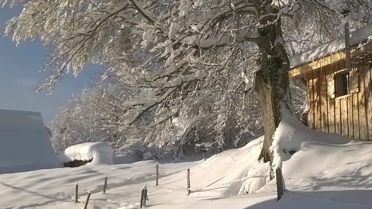 Photo of Outdoor in Chaparon