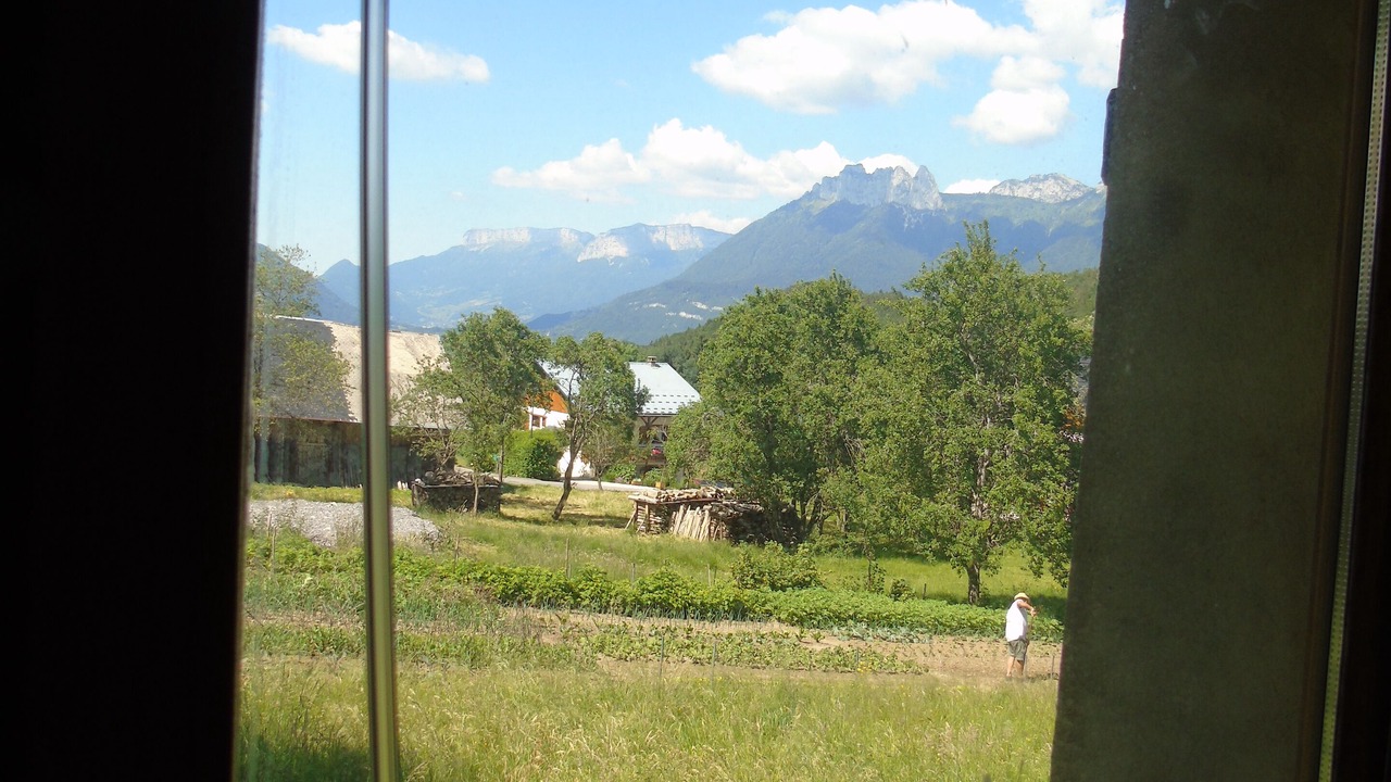 Photo of Others in Chaparon