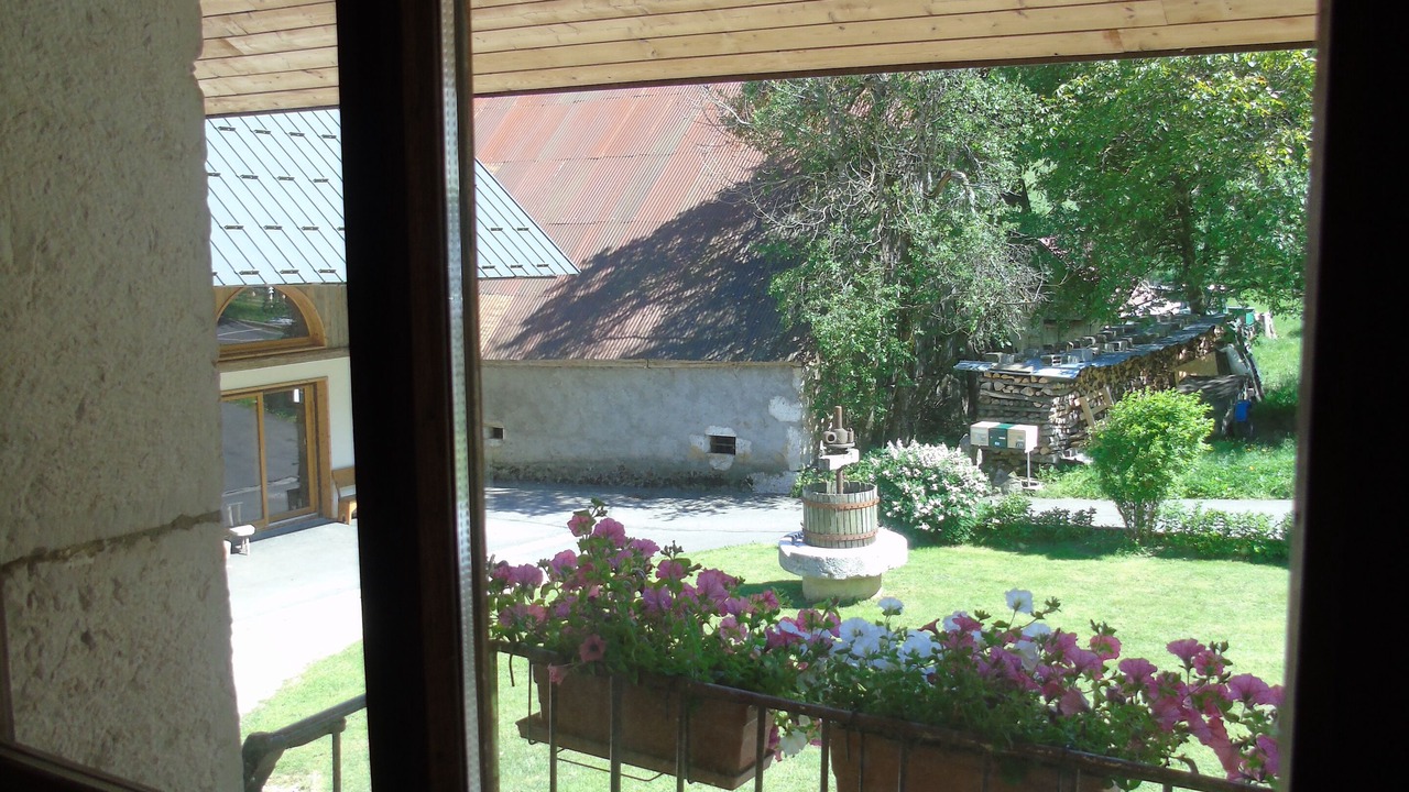 Photo of Others in Chaparon