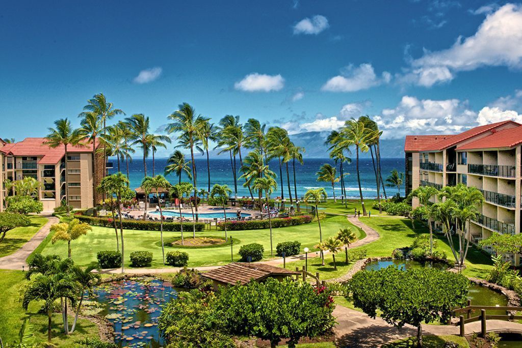 Photo of Others in Honokowai