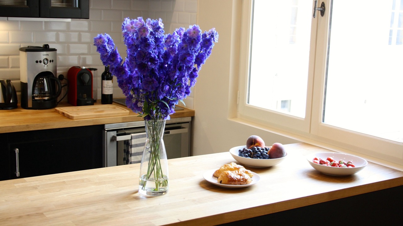 Photo of Kitchen in 6th Arrondissement