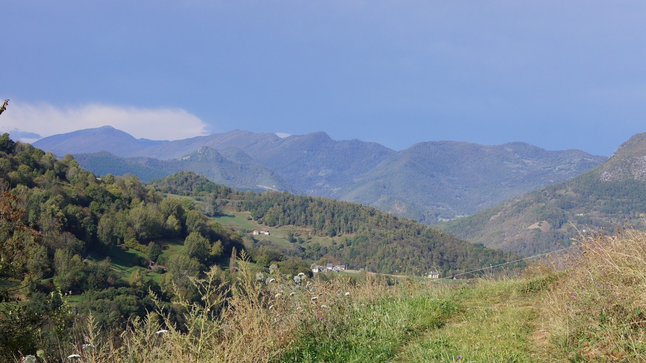 Photo of Others in Moulis