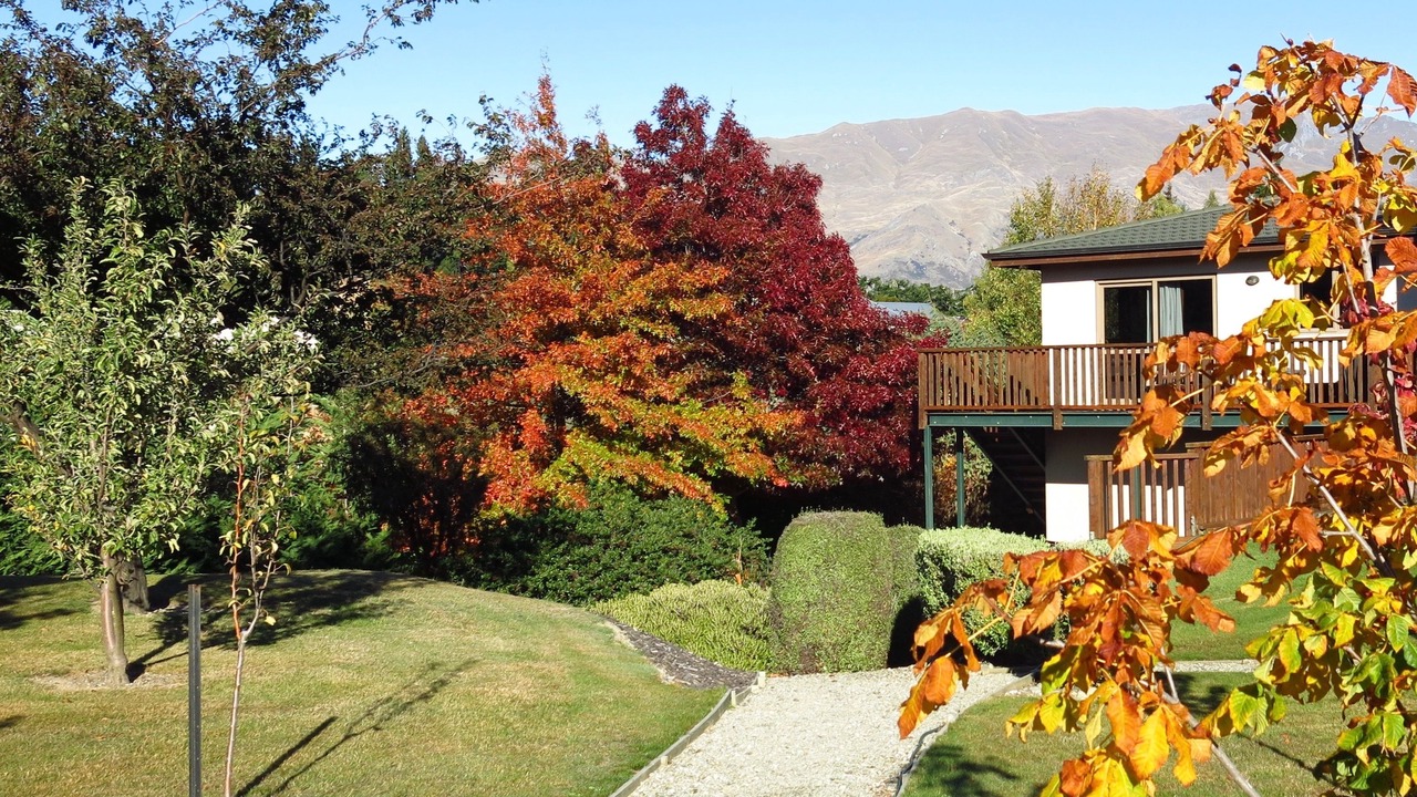 Photo of Outdoor in Wanaka