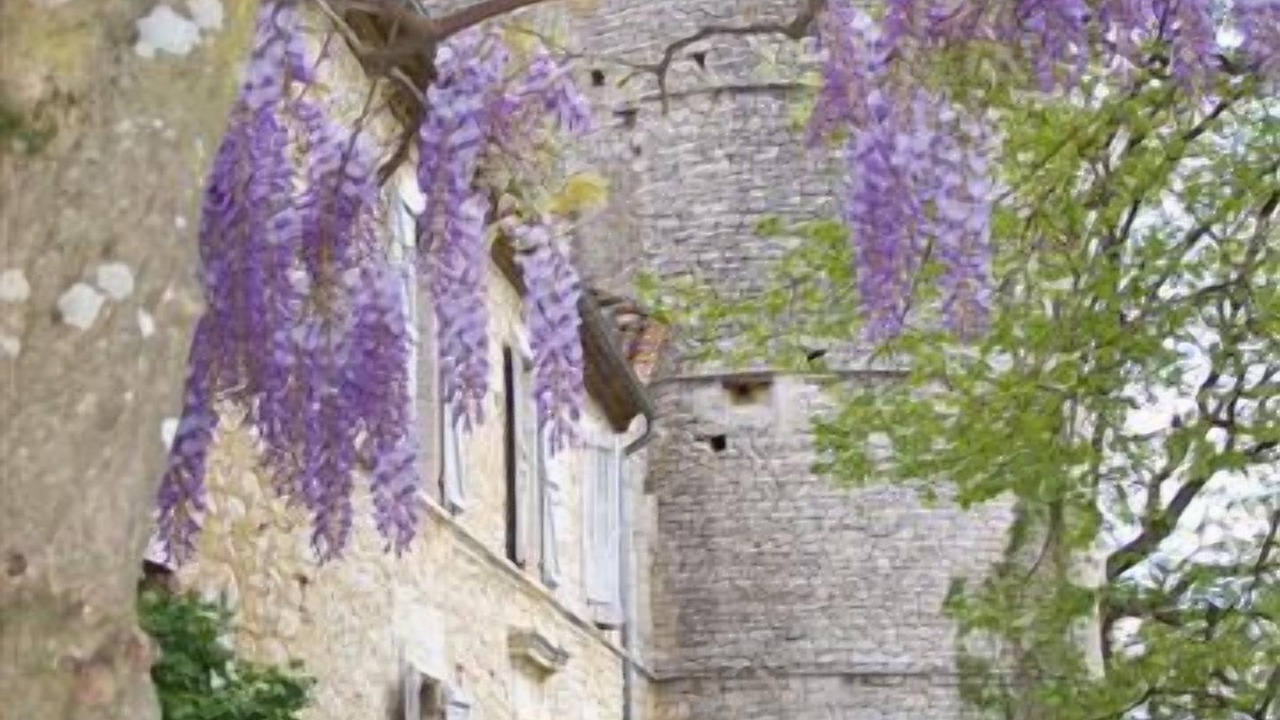 Photo of Outdoor in Labrihe