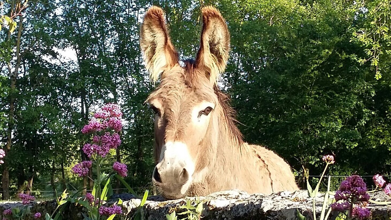Photo of Outdoor in Labrihe