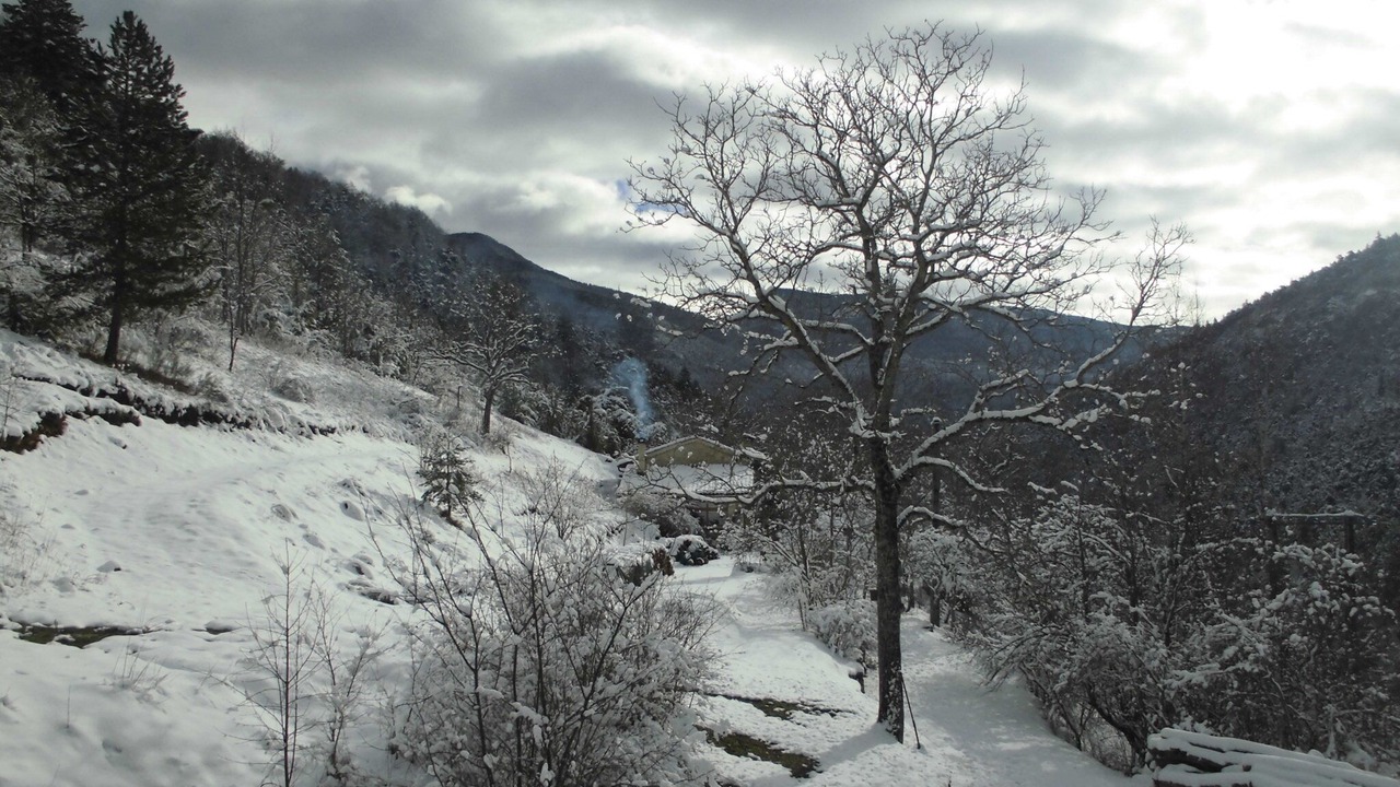 Photo of Outdoor in Treschenu-Creyers