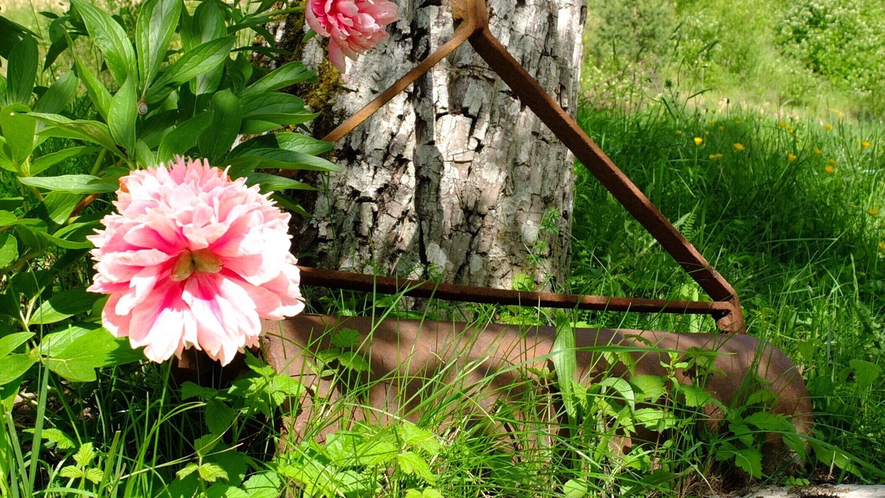Photo of Outdoor in Treschenu-Creyers