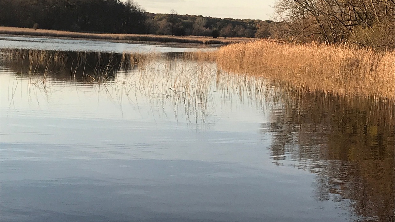 Photo of Others in Twin Lakes