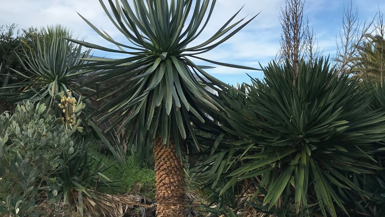 Photo of Outdoor in Otaki Beach