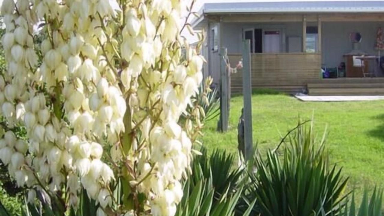 Photo of Others in Otaki Beach