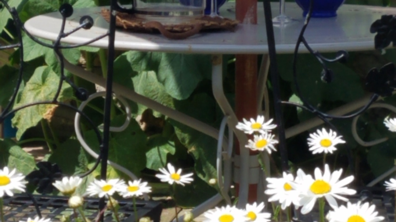 Photo of Outdoor in Villers-sur-Mer