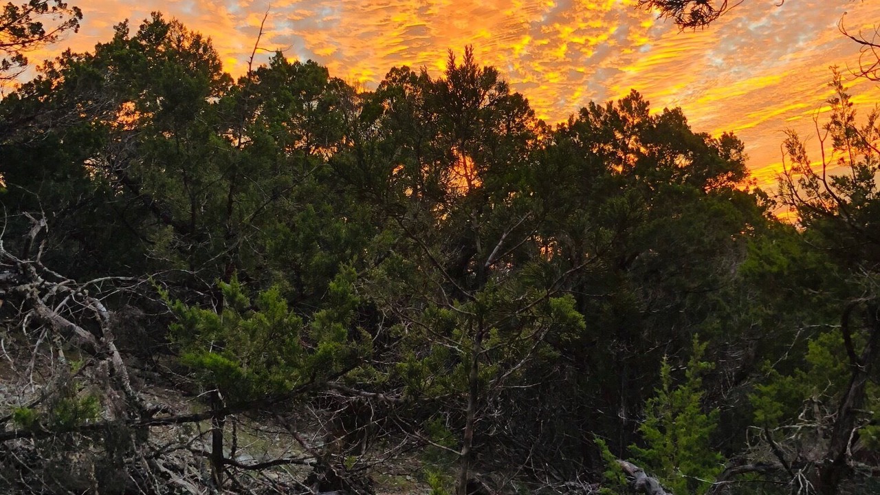Photo of Outdoor in Pipe Creek