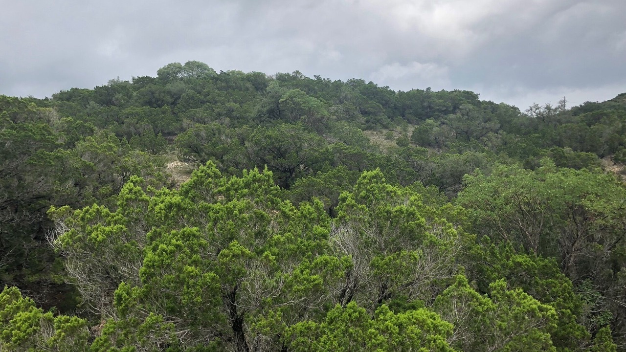 Photo of Outdoor in Pipe Creek
