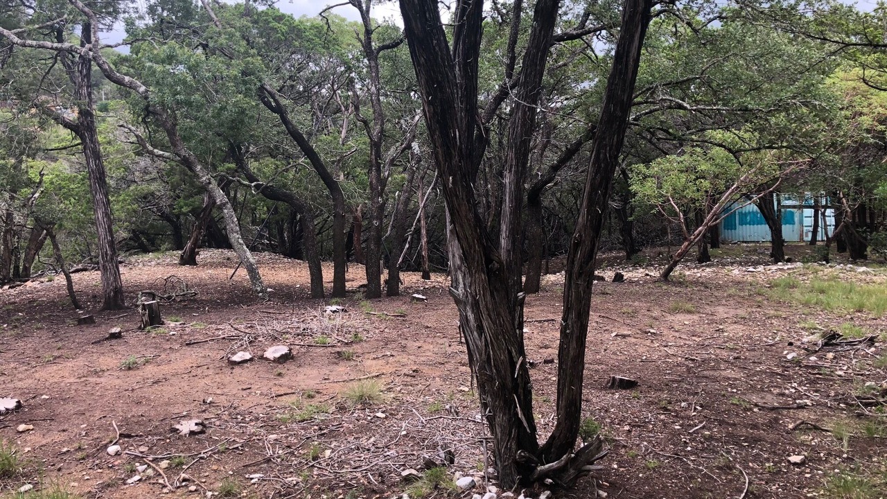 Photo of Outdoor in Pipe Creek