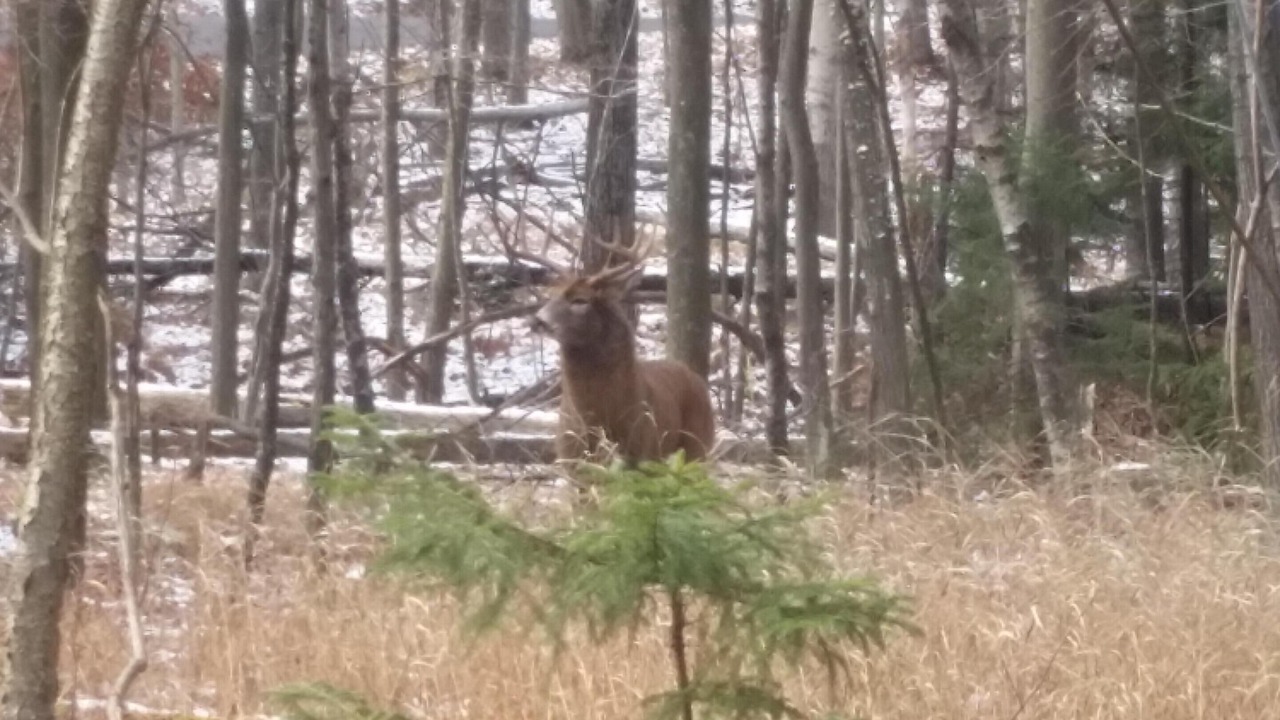 Photo of Others in Pocono Lake