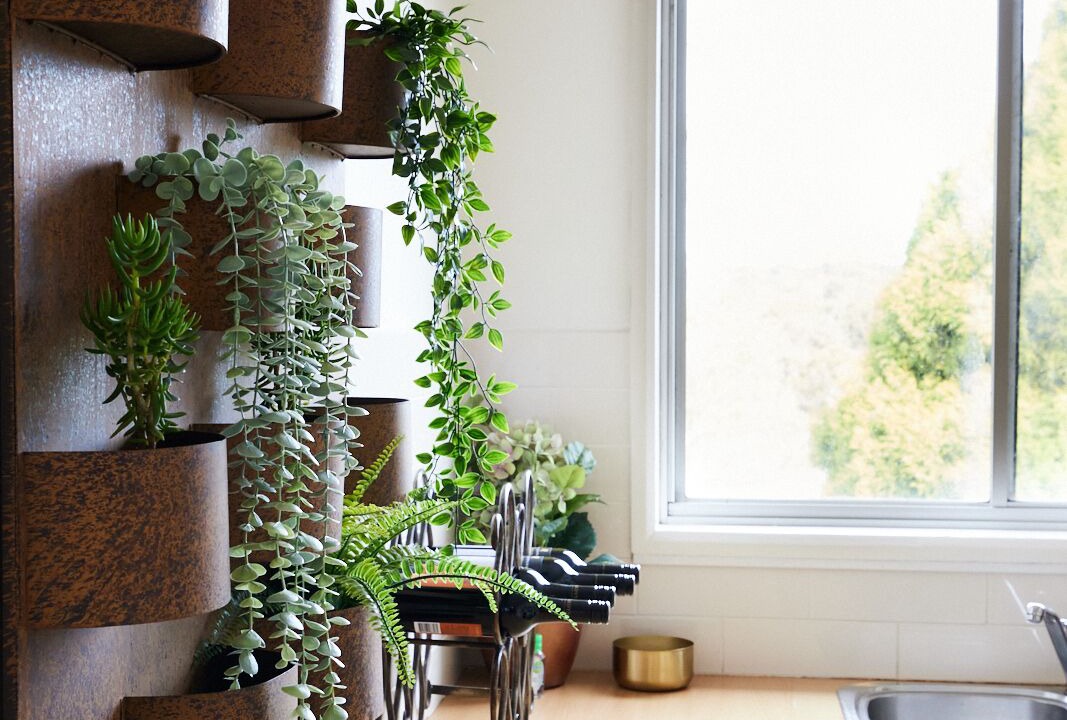 Photo of Others in Berrima