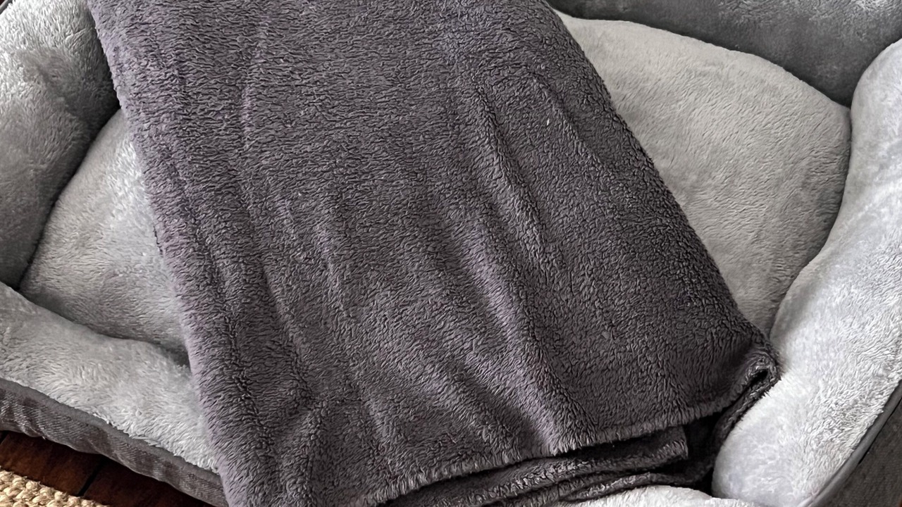 Photo of Others in Berrima