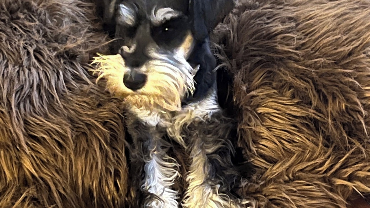 Photo of Others in Berrima