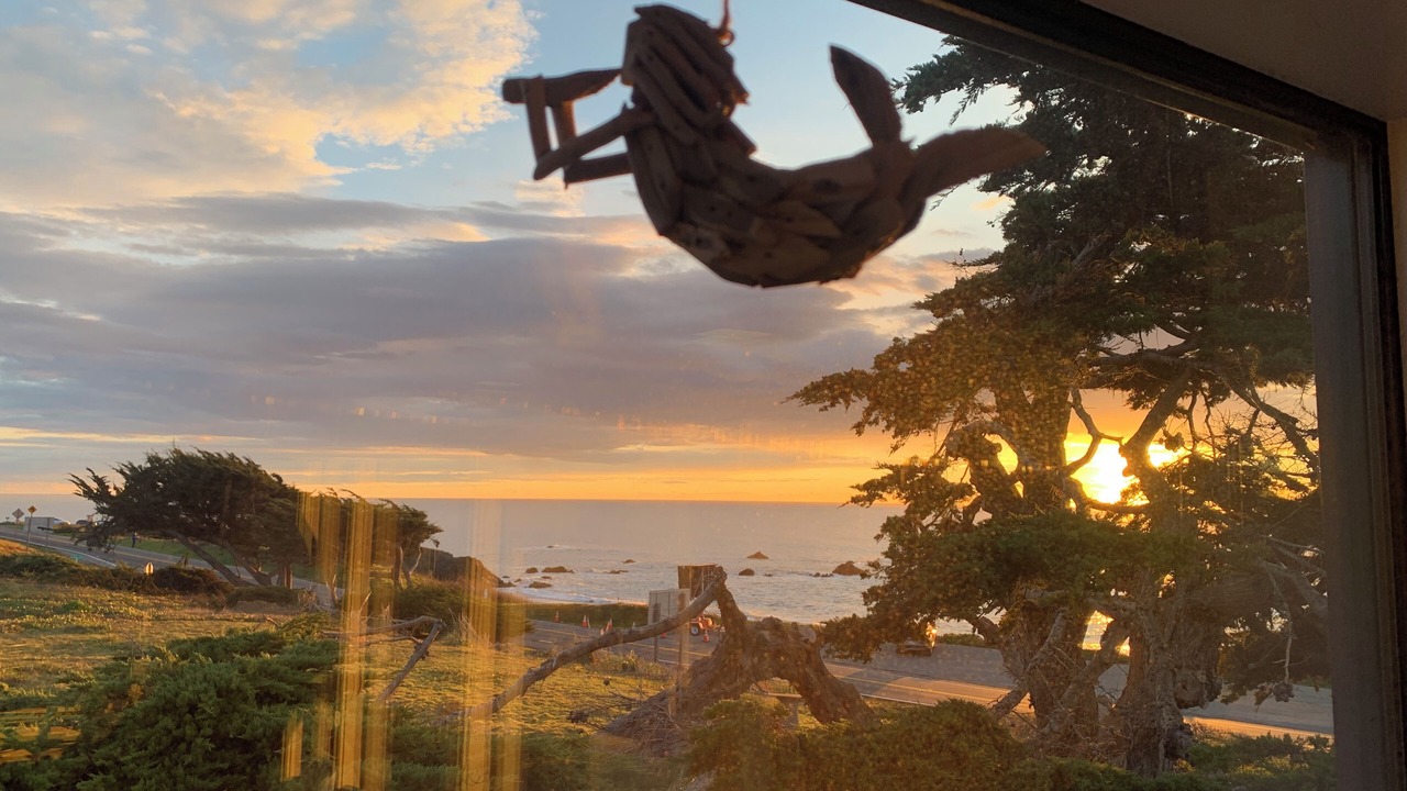 Photo of Others in Sereno del Mar