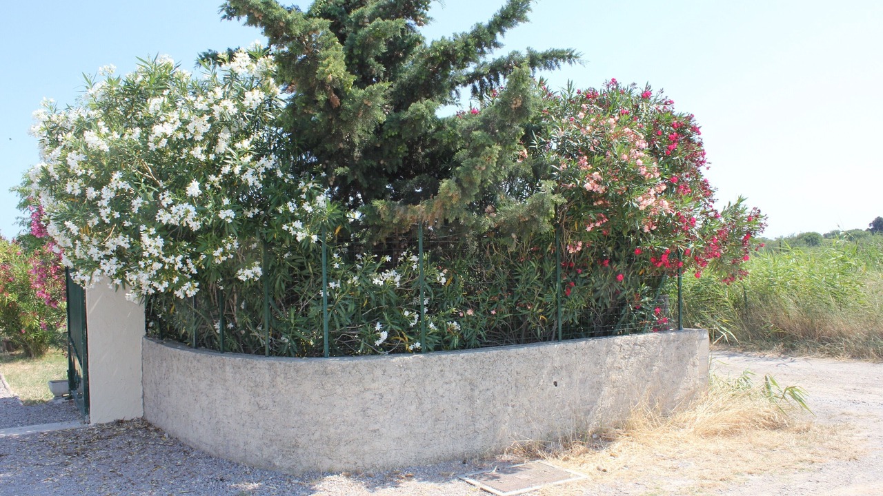 Photo of Outdoor in Vic-la-Gardiole