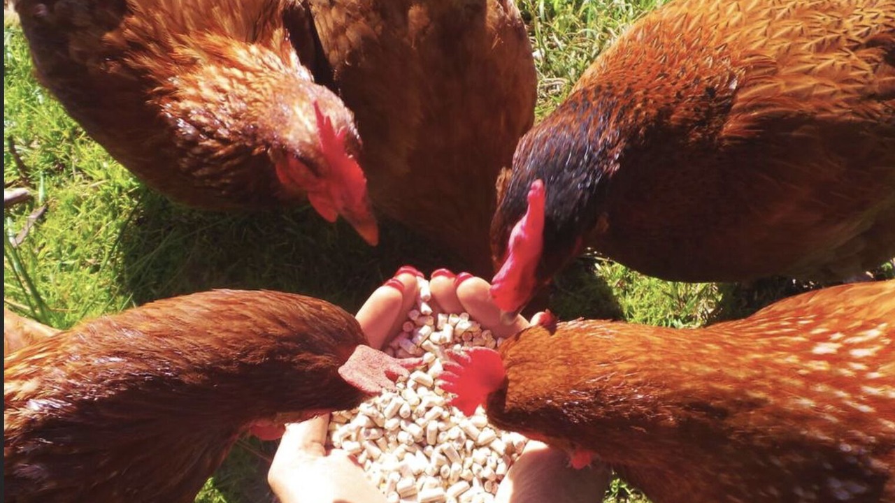 Photo of Others in Wandin East