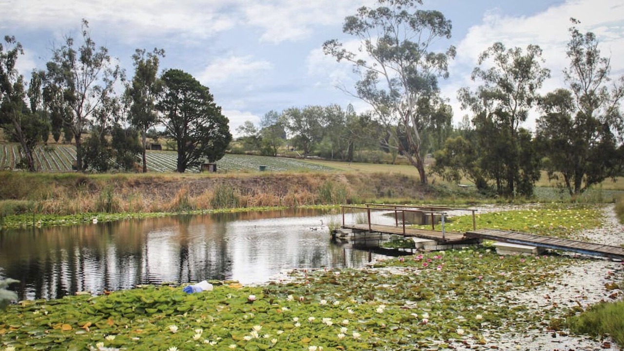 Photo of Others in Wandin East