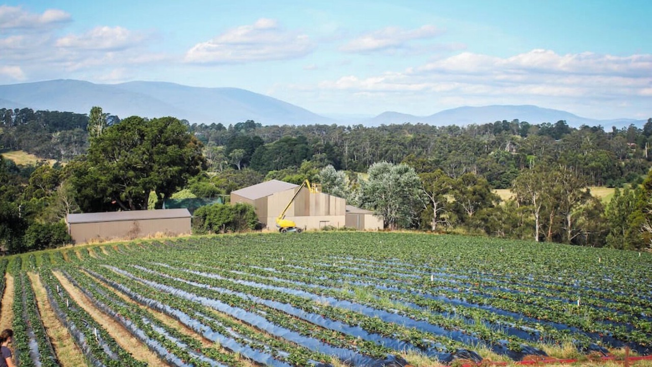 Photo of Others in Wandin East