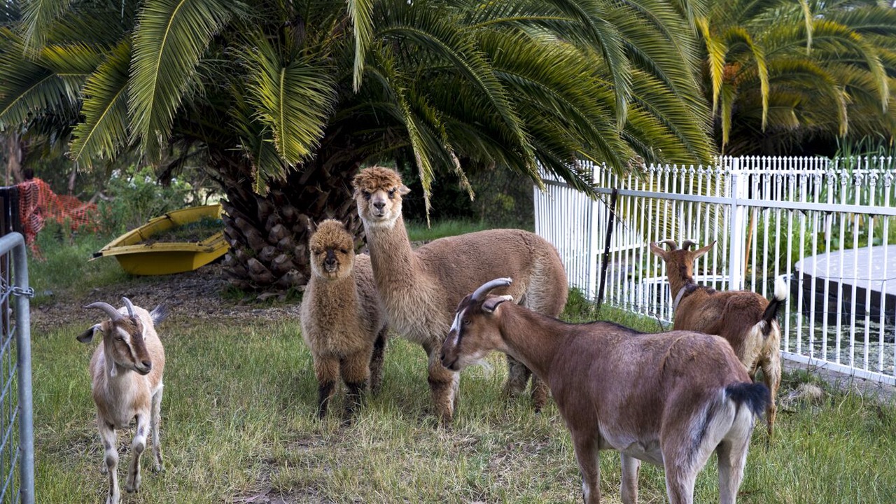 Photo of Others in Wandin East