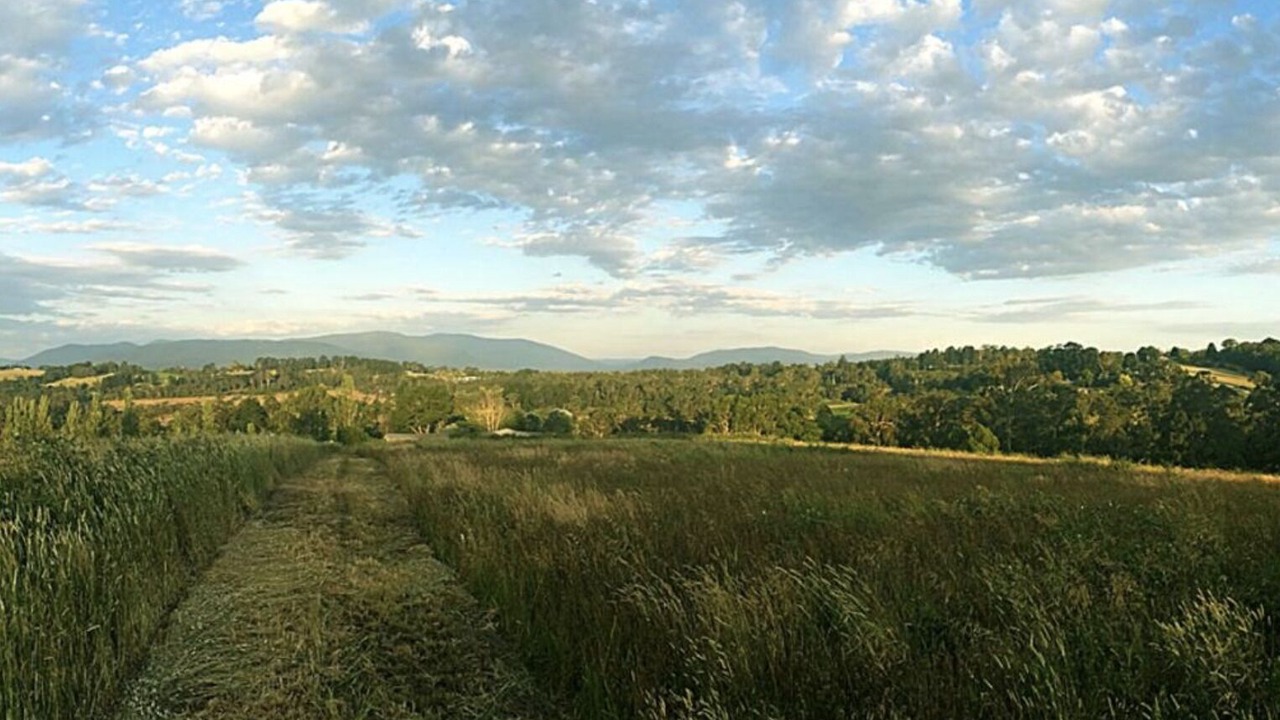 Photo of Others in Wandin East