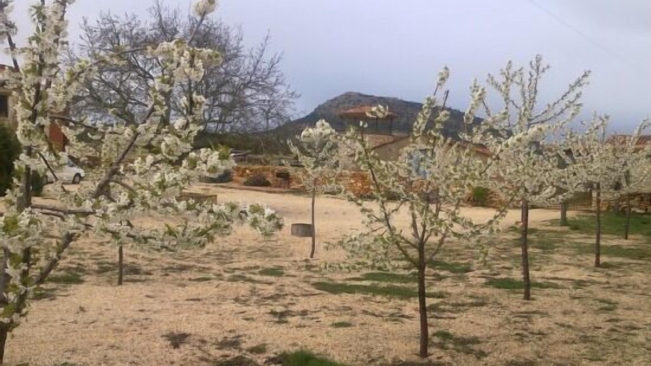 Photo of Outdoor in Briongos