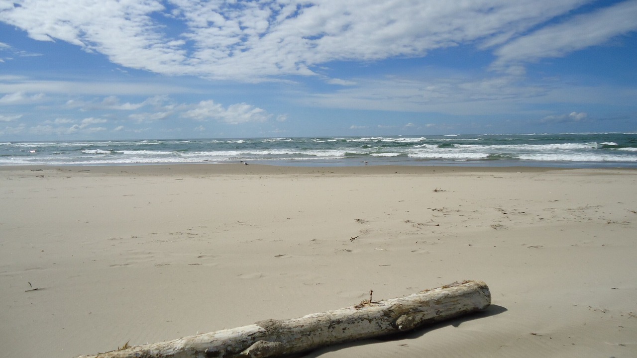 Photo of Others in Waldport