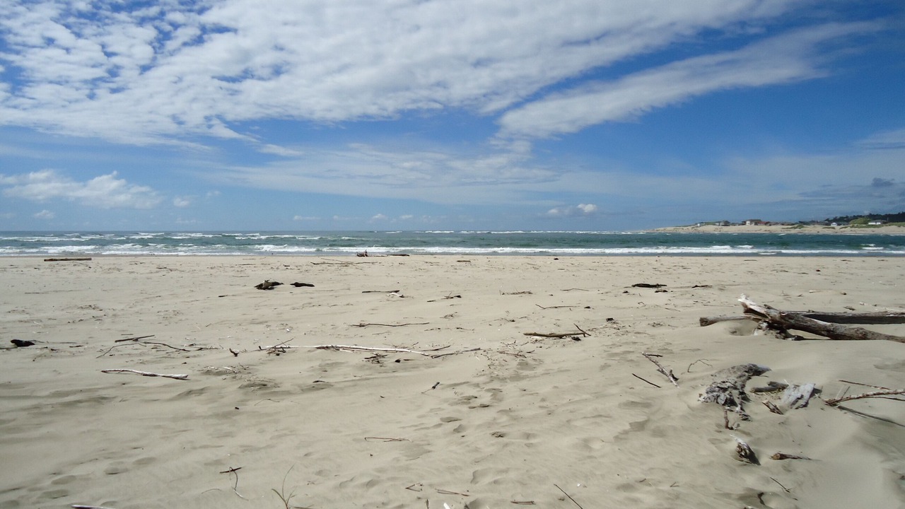 Photo of Others in Waldport