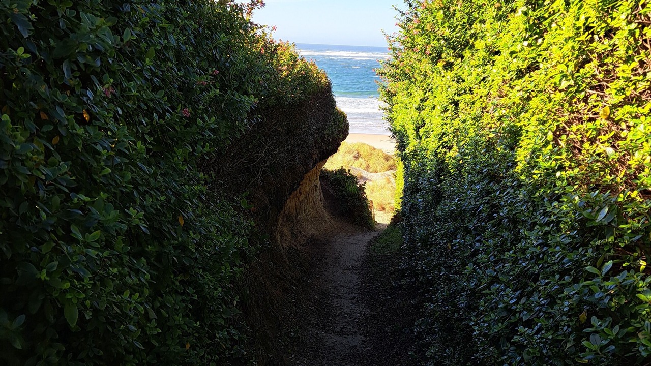 Photo of Others in Waldport