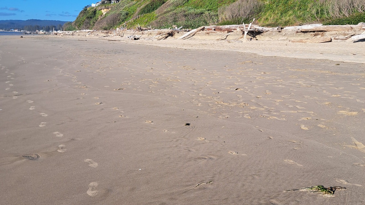 Photo of Others in Waldport