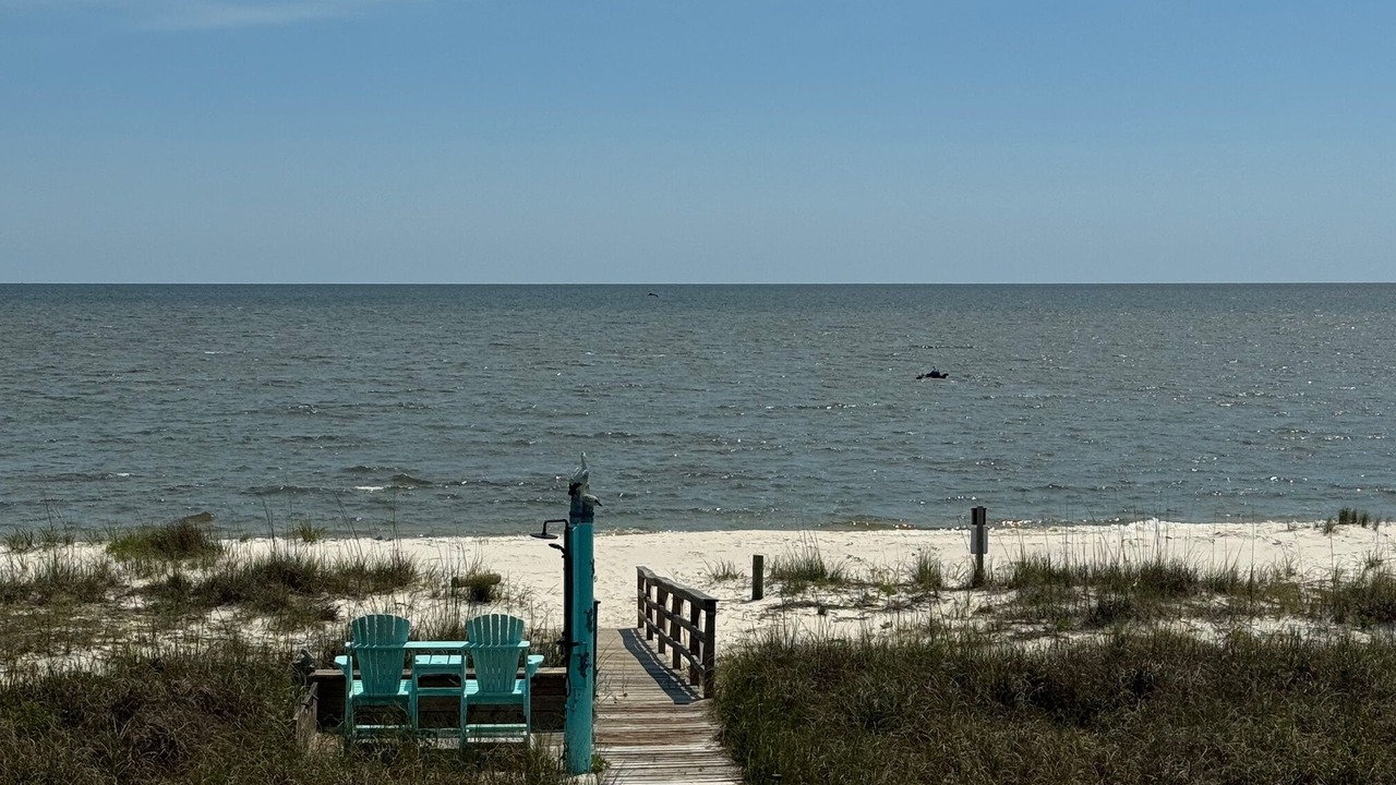 Photo of Others in Alligator Point