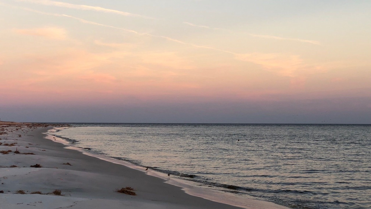 Photo of Others in Alligator Point