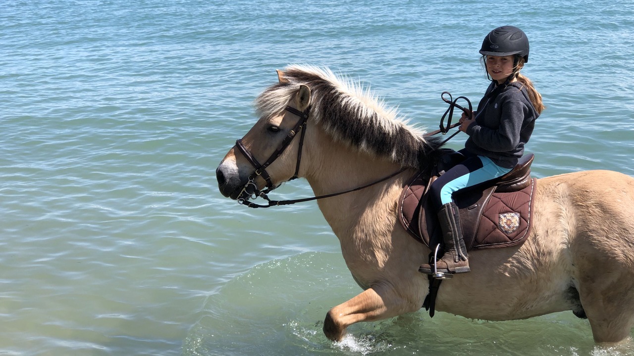Photo of Others in Cancale