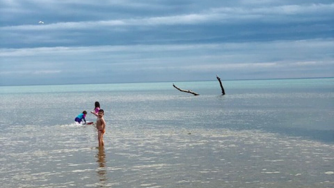 Photo of Others in Port Franks