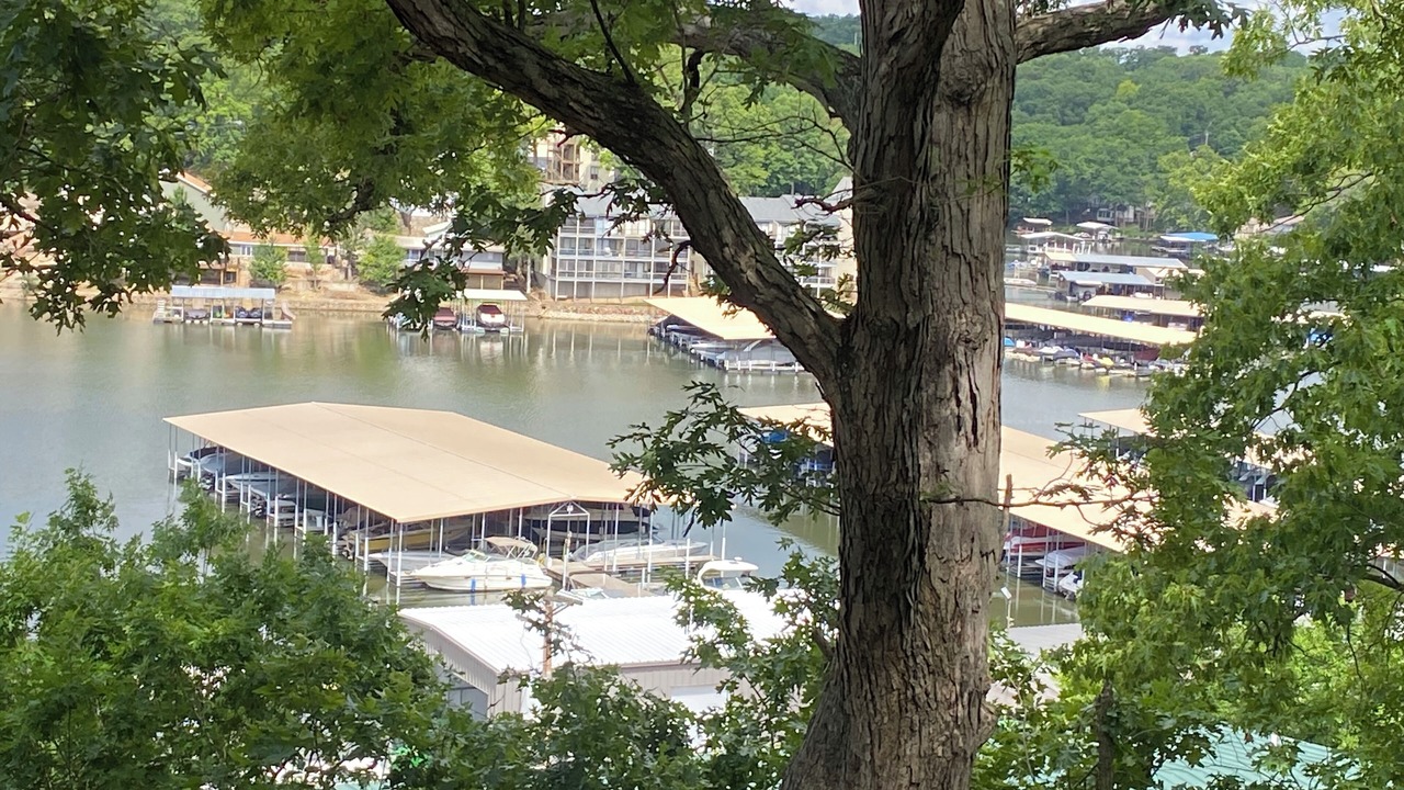 Photo of Others in Lake Ozark