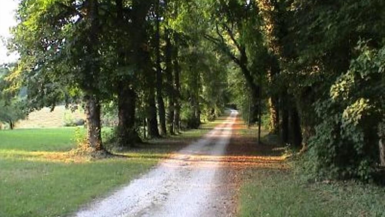 Photo of Outdoor in Coteaux Perigourdins