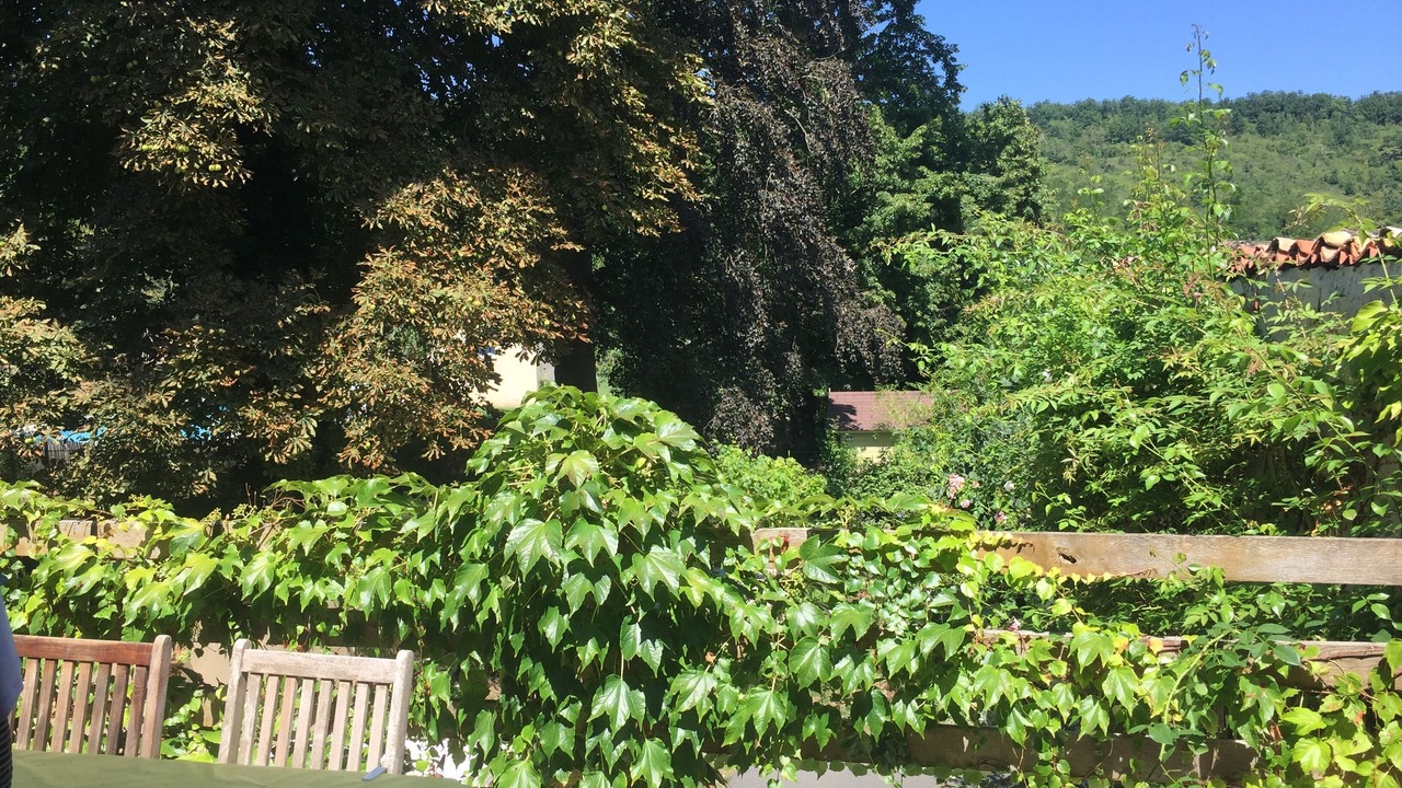 Photo of Outdoor in La Bastide-sur-l'Hers