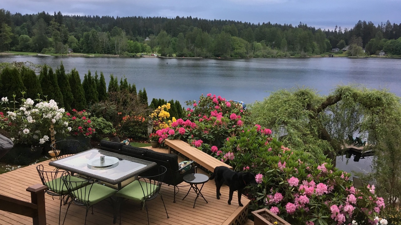 Photo of Others in Woodinville