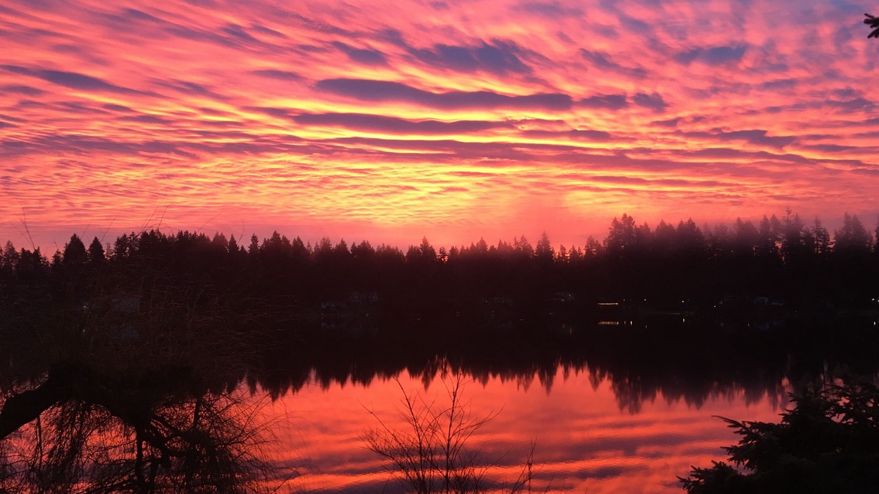 Photo of Others in Woodinville