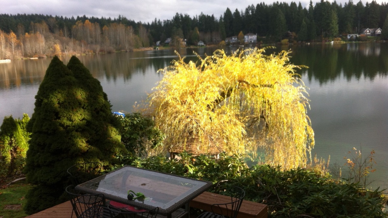 Photo of Others in Woodinville