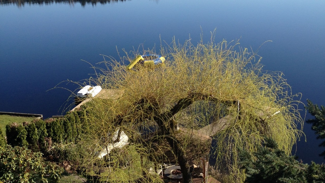 Photo of Outdoor in Woodinville