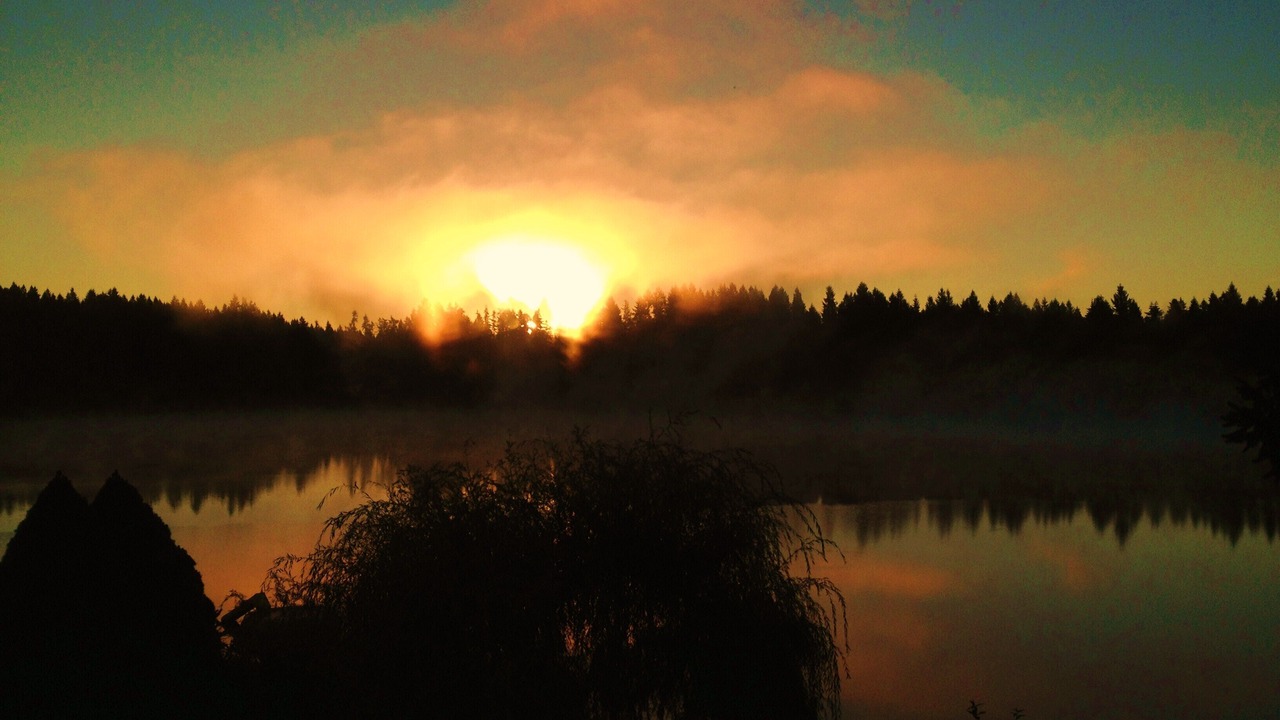 Photo of Outdoor in Woodinville