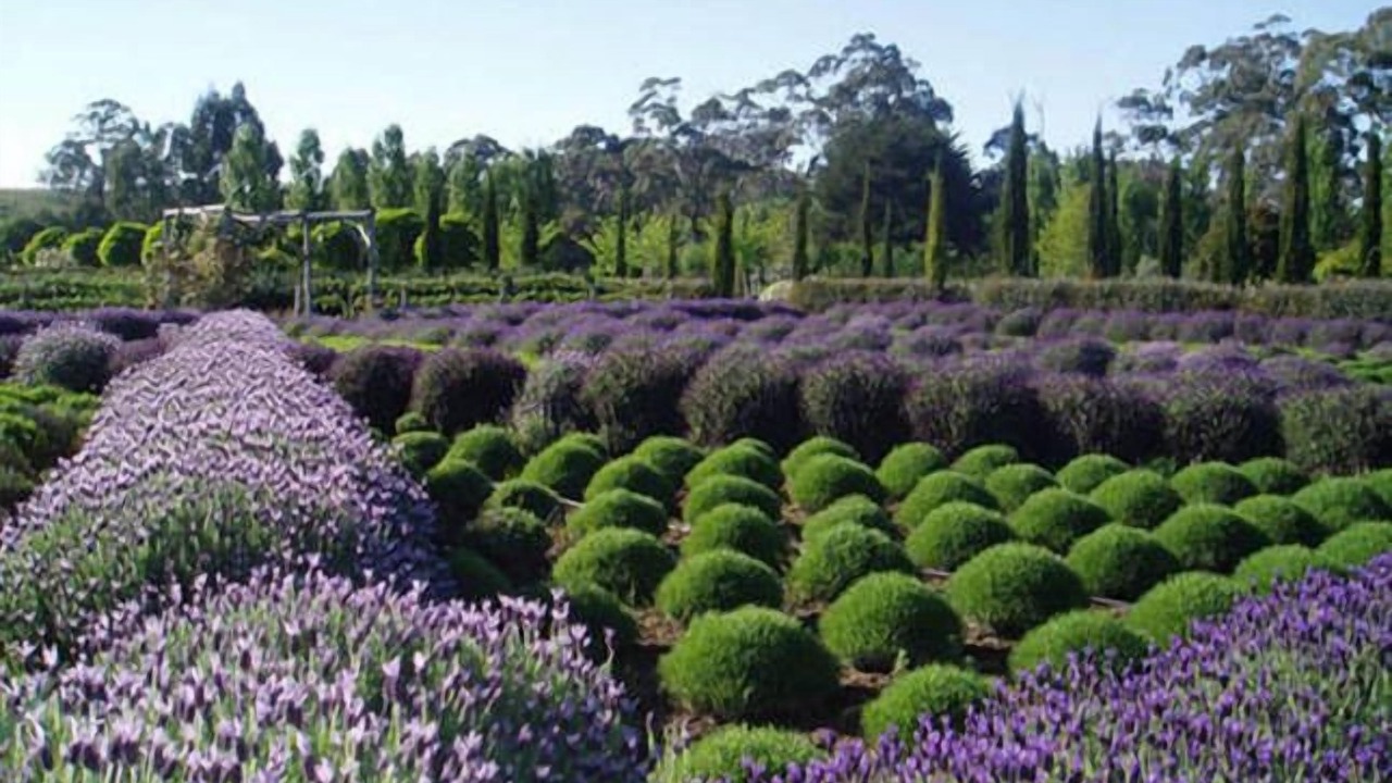 Photo of Outdoor in Shepherds Flat