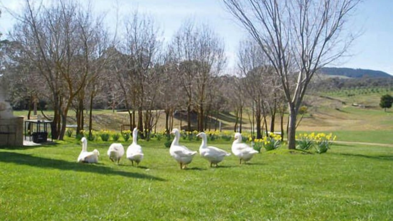 Photo of Outdoor in Shepherds Flat