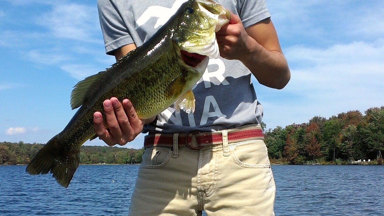 Photo of Outdoor in Tobyhanna