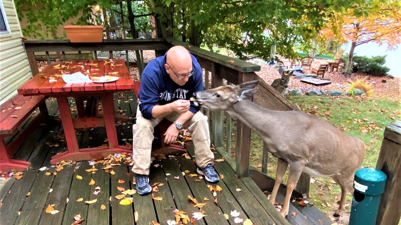 Photo of Others in Tobyhanna